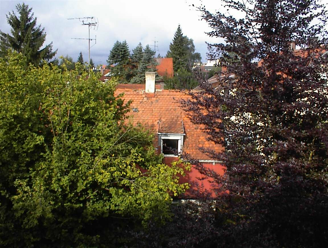 A 'typical' red clay tile German house roof