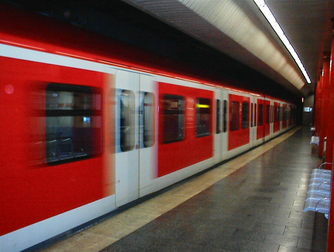 The train!