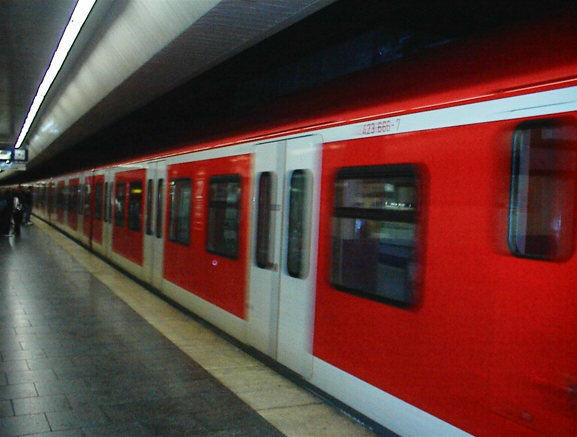 The train!