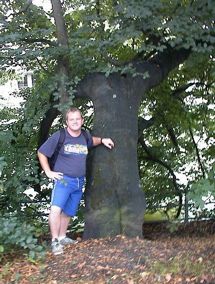 The infamous Ass-tree